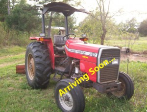 Massey Ferguson 363